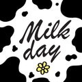 Cow texture pattern repeated seamless brown and white lactic chocolate animal jungle print spot skin fur milk day Royalty Free Stock Photo