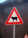 Cow traffic sign