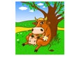 Cow by the tree Royalty Free Stock Photo