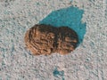 A cow turd lies on a concrete road on a sunny day. Countryside. Walking cattle