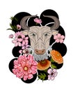 Cow vector of Astrology design.horoscope circle with signs of zodiac set vector