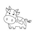 A Cow Colorless