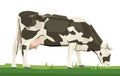 Cow vector. Milk, dairy products. Holstein cattle. Farm animal stands. Grass pasture. Friesian heifer. Black spots