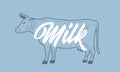 Cow vintage sketch. Milk, dairy products poster. Cow silhouette with grunge texture.