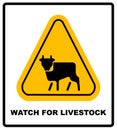 Cow Warning sign yellow. Farm Hazard attention symbol.
