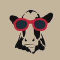 Cow wearing glasses.