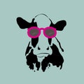 Cow wearing glasses.