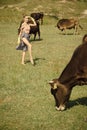 Cow, woman in countryside pasture, ecology. Royalty Free Stock Photo