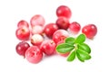 Cowberry Royalty Free Stock Photo