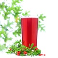 Cowberry and Berry Juice Glass Royalty Free Stock Photo