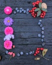 Cowberry with leaves, black raisins, flowers, and walnut as a frame