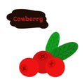 Cowberry, lingonberry in flat style. Sweet red forest berry.