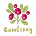 Cowberry vector illustration. Doodle cowberry vector illustration in red and green color. Cowberry berries images for