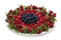 Cowberry and whortleberry on plate