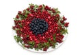 Cowberry and whortleberry on plate