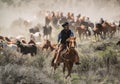 Cowboy with black hat and sorrel horse leading horse herd at a gallop