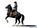 Western cowboy riding a rearing black horse