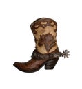 Cowboy boot