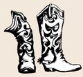 Cowboy boots Royalty Free Stock Photo