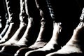 Cowboy Boots Lined Up Royalty Free Stock Photo