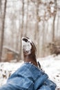 Cowboy boots resting with crossed ankles