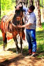 Cowboy Bridles Horse Royalty Free Stock Photo