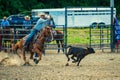 Cowboy on a brown horse calf roping at the Wyandotte County Kansas Fair Rodeo