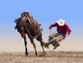 Cowboy bucked of a bucking Bronco