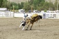 Cowboy bucked off his horse