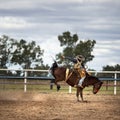 Cowboy On A Bucking Horse At A Rodeo