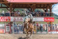 Cowboy on bucking horse during saddle bronc competition at rodeo Royalty Free Stock Photo