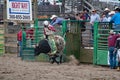 Cowboy bull riding at rodeo