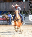 The Cowboy in a Calf roping competition. Royalty Free Stock Photo