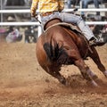 Cowboy Competing In Barrel Race Royalty Free Stock Photo