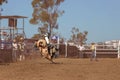 Cowboy Competing In A Bull Riding Event At A Country Rodeo Royalty Free Stock Photo