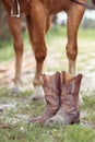 The legs of a red-colored quaterhorse and cowboy old boots in the foreground Royalty Free Stock Photo