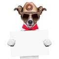 Cowboy dog Royalty Free Stock Photo