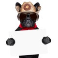 Cowboy dog Royalty Free Stock Photo