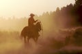 Cowboy in the Dust Royalty Free Stock Photo