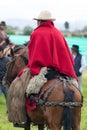 Cowboy in Ecuador