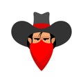 Cowboy face isolated. Wild west guy portrait. Western head