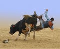 Cowboy Falling of a Bull