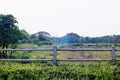 Cowboy fence against field forest perfect nature spring summer Royalty Free Stock Photo