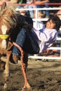 Cowboy getting bucked