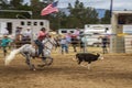 Cowboy on a grey horse catching a dark brown calf at rodeo show