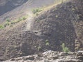 A cowboy guiding his horses through the Andes