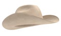 Cowboy Hat