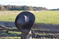 Cowboy hat fence