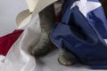 Cowboy hat and Texas flag Royalty Free Stock Photo