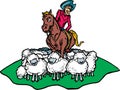 Cowboy herding sheep Royalty Free Stock Photo